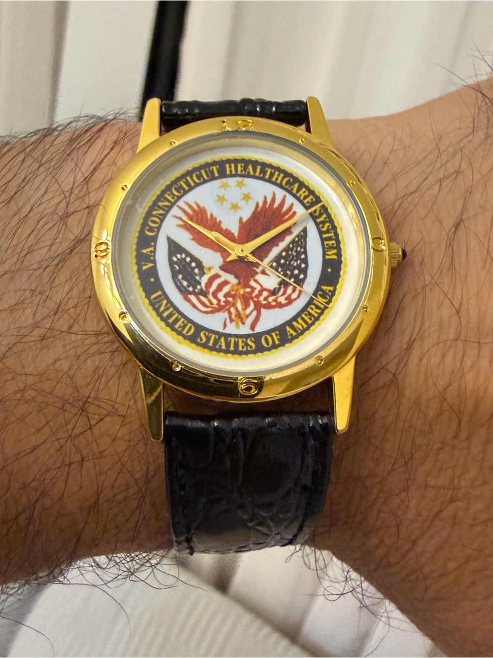 Vintage Image Watches VA Connecticut Healthcare System Quartz Watch 34.4mm